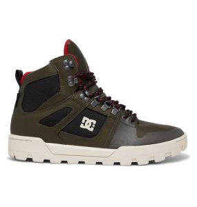 Pánské Zimní Boty DC Pure Hi Weather Resistant Viacfarebný | REFQJV-804